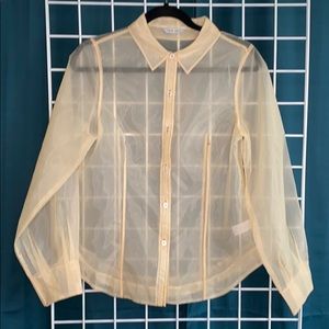 Sheer button up